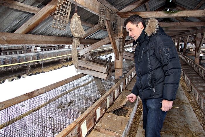 Pierīgas kažokzvēru audzētāji: Saceltā ažiotāža ir pārspīlēta