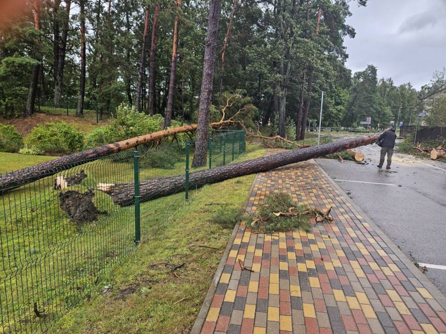 Pierīgas novadi pēc postošās vētras joprojām atgūstas: Zaudējumi būs milzīgi