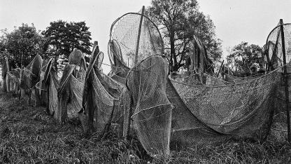 Attēls rakstam: Pilna laiva sudrablašu, vidū mazais asarīt’s (nobeigums)