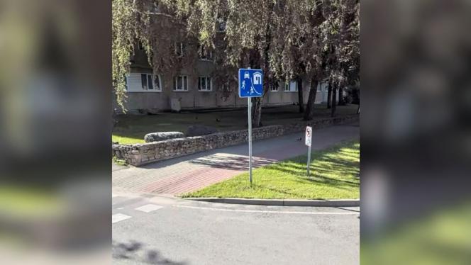 Attēls rakstam: "Pilnībā izvilcis no biksēm..." Salaspiliete ceļ trauksmi par notiekošo pie pamatskolas