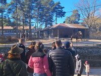 "Tas nebija joks!": Rīgas zoodārzā vienas dienas apmeklētāju rekords pārsniegts trīs reizes