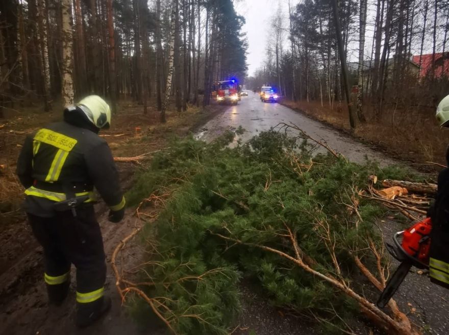 Pirmdien saņemti vairāk nekā 300 izsaukumi saistībā ar vēja postījumiem, visvairāk - Rīgas reģionā