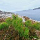 Attēls rakstam: Pirmslieldienu laika vispiemērotākie jautājumi: Dievs, vai Tu mani dzirdi  un uzklausi?