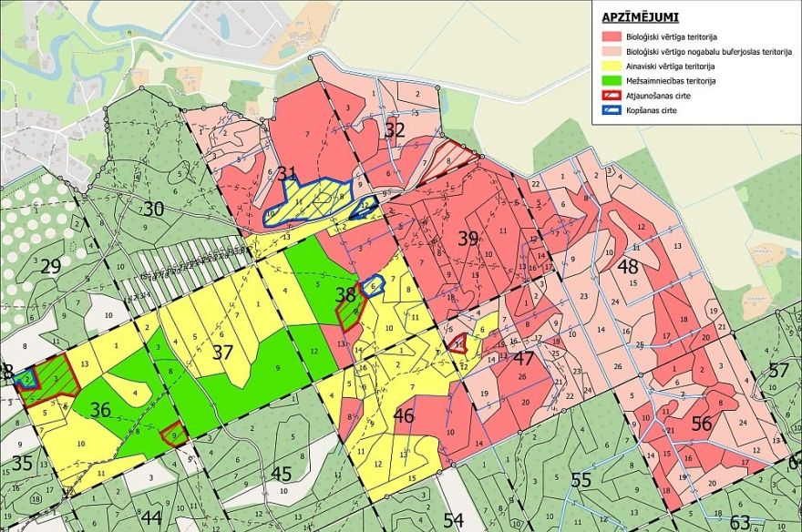 Plāno sākt darbus mežā pie Kalngales