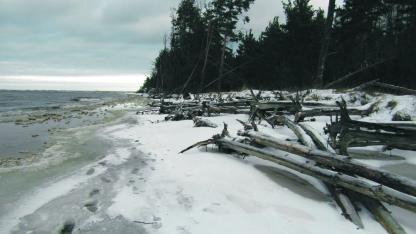 Attēls rakstam: Prognoze – par 5°C siltāks klimats (1.daļa)
