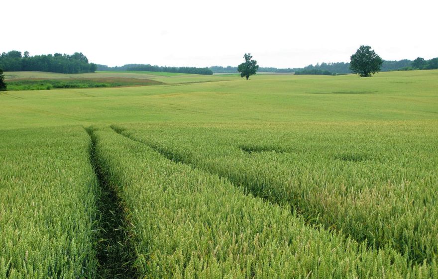 Prognoze – par 5°C siltāks klimats (2.daļa)