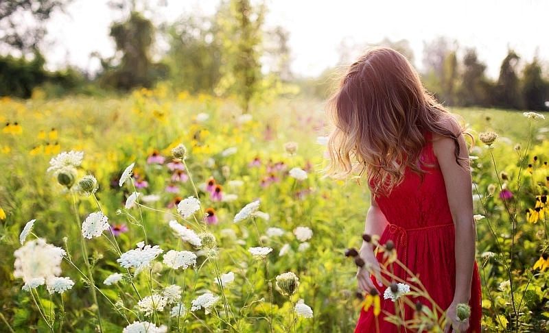 Puķu pļava dārzā
