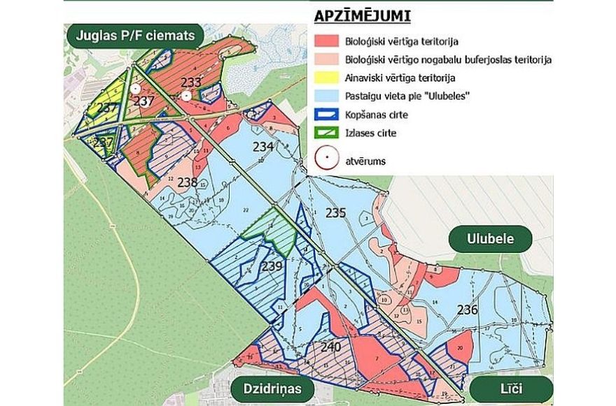 "Rīgas meži" plāno meža kopšanas un mežaudzes atjaunošanos veicinošus darbus Stopiņu pagastā