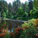 Attēls rakstam: Rododendru ziedēšanas svētkos Babītē koncertēs Antoņenko, Krauze, Naumova un Igo