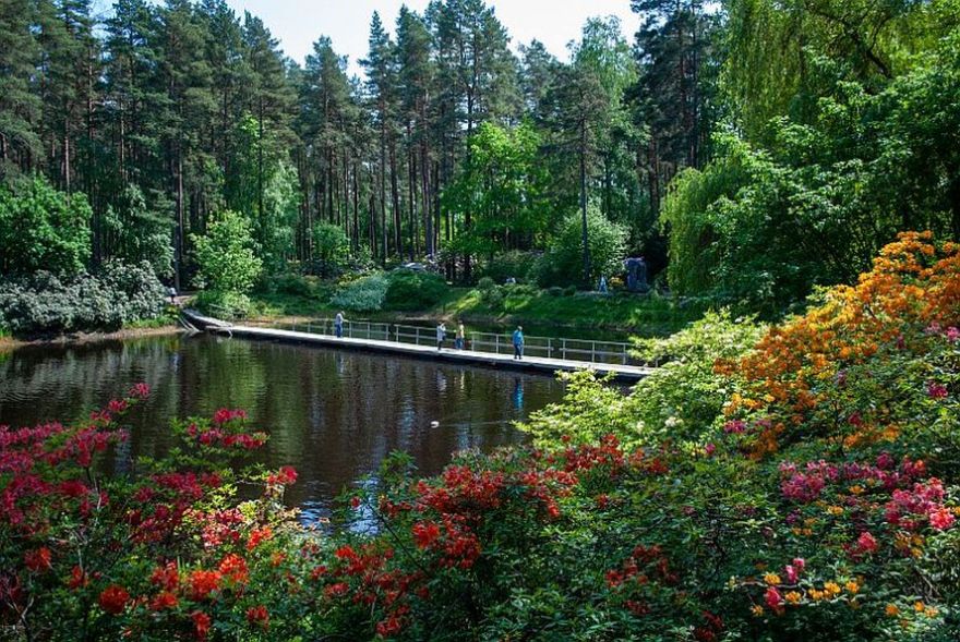 Rododendru ziedēšanas svētkos Babītē koncertēs Antoņenko, Krauze, Naumova un Igo