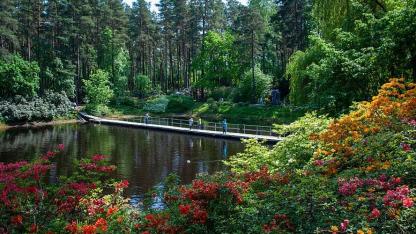 Attēls rakstam: Rododendru ziedēšanas svētkos Babītē koncertēs Antoņenko, Krauze, Naumova un Igo