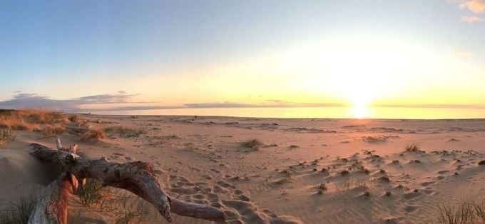 Roku rokā Carnikavā: pašvaldība un dabas aizsardzība