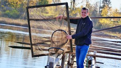 Attēls rakstam: Salacas krastos nēģi "tur kanti" sīvā konkurencē ar reņģi