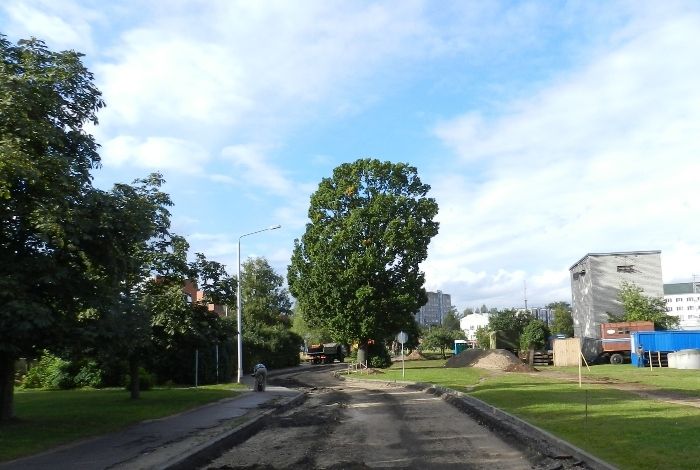 Salaspils dome piekāpjas dabas draugiem – ozols paliks savā vietā