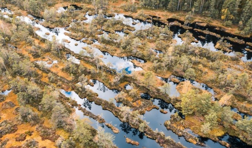 Salaspils novada Zeltiņu purvā veidos dabas parku