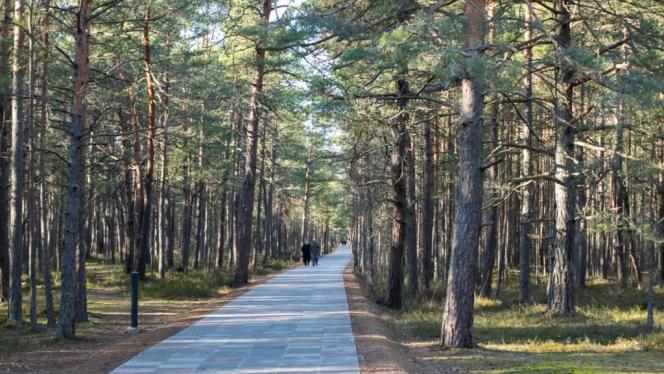 Attēls rakstam: "Saprotu, ka tā var likties nevainīga izklaide, bet..." Pusaudžu pārgalvība uz Carnikavas promenādes