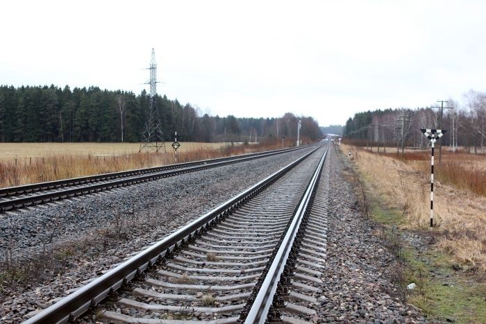Satiksmes ministrijas pētījums sniedz ieskatu par to, ko un kā varētu kompensēt "Rail Baltica" dēļ