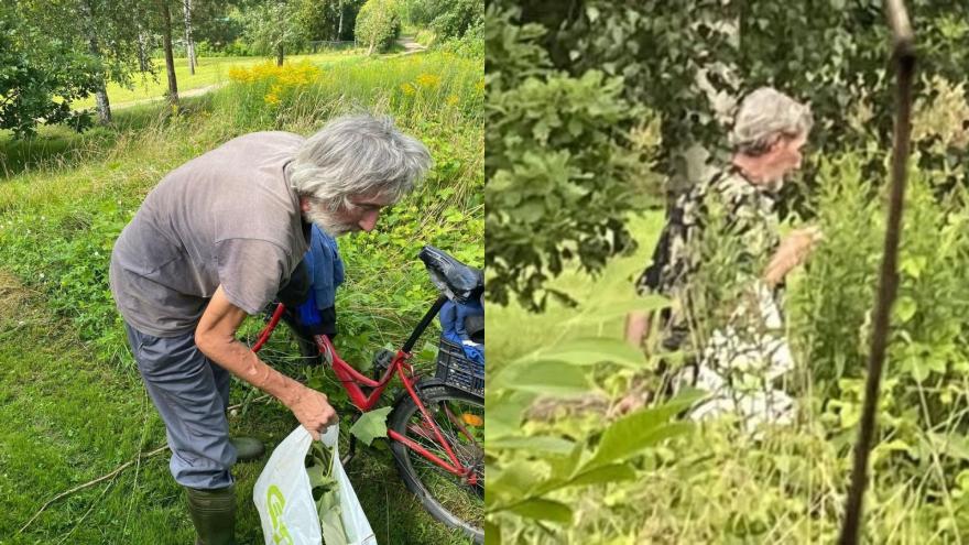 Attēls rakstam: Satraukums Ķekavā: kaimiņi brīdina par vīrieti, kurš gaišā dienas laikā "ošņājas" pa pagalmiem