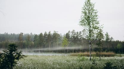 Attēls rakstam: Saule vai mākoņi? Kāds laiks mūs sagaida nedēļas pirmajā dienā