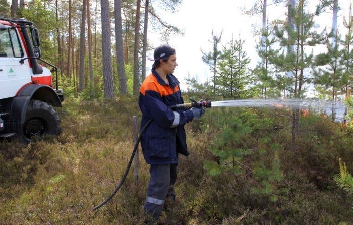 Saulkrastu novadā dedzis mežs 1500 kvadrātmetru platībā