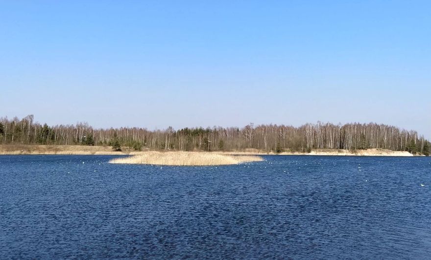 Sauriešu karjera burvība uz zemes un ūdens dzīlēs