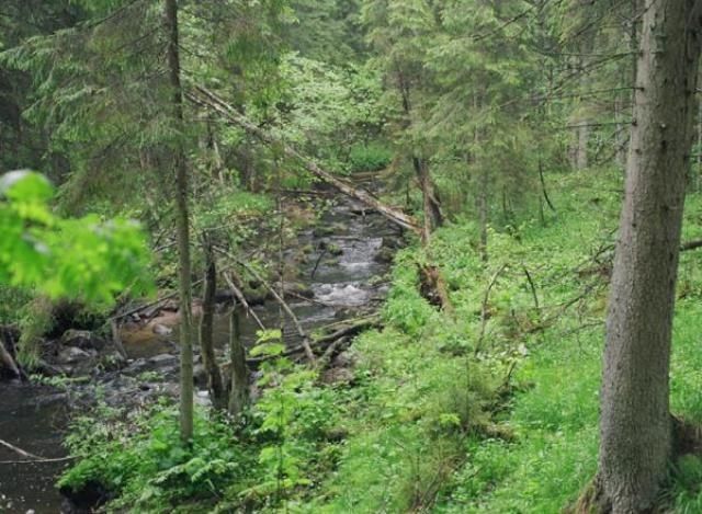 Septembrī būs iespēja doties ekspedīcijās pa Līgatnes upes taku, Daugavu un gar Ogres upi