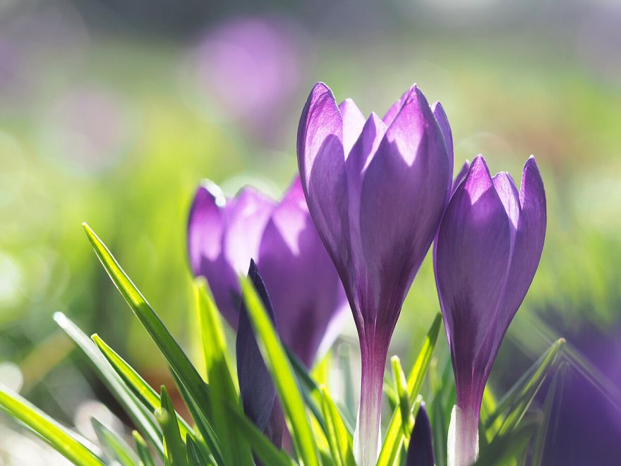 Septīto dienu pēc kārtas Latvijā pārspēti siltuma rekordi