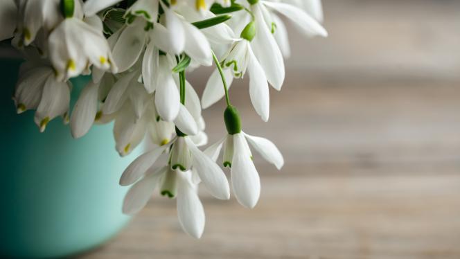 Attēls rakstam: Sestdien laikapstākļi var sagādāt nepatīkamus pārsteigumus