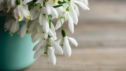 Attēls rakstam: Sestdien laikapstākļi var sagādāt nepatīkamus pārsteigumus