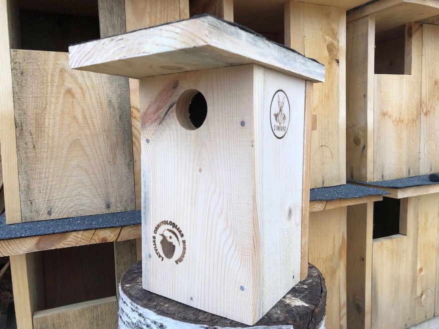 "Sēžampuļķītis" un "gaitenis". Ornitologi mudina pievērst uzmanību putnu būru drošībai