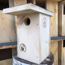 Attēls rakstam: "Sēžampuļķītis" un "gaitenis". Ornitologi mudina pievērst uzmanību putnu būru drošībai