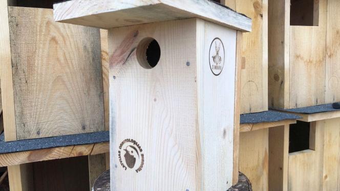 Attēls rakstam: "Sēžampuļķītis" un "gaitenis". Ornitologi mudina pievērst uzmanību putnu būru drošībai