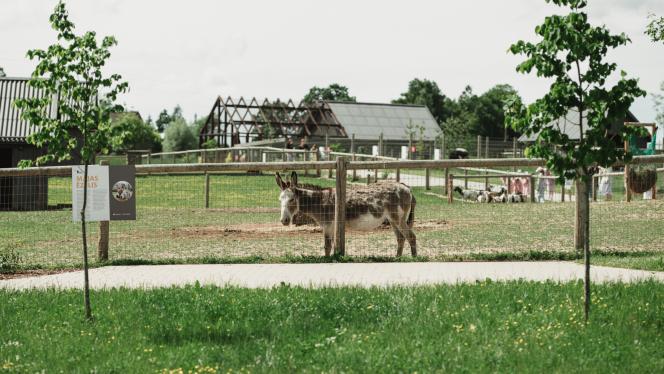 Attēls rakstam: "Sigulda ZOO" par 350 tūkstošiem eiro veiks būtiskus uzlabojumus. Kas mainīsies?