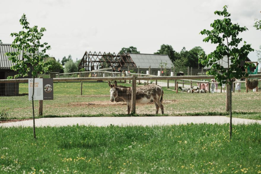"Sigulda ZOO" par 350 tūkstošiem eiro veiks būtiskus uzlabojumus. Kas mainīsies?