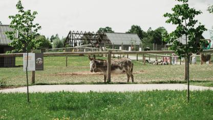 Attēls rakstam: "Sigulda ZOO" par 350 tūkstošiem eiro veiks būtiskus uzlabojumus. Kas mainīsies?
