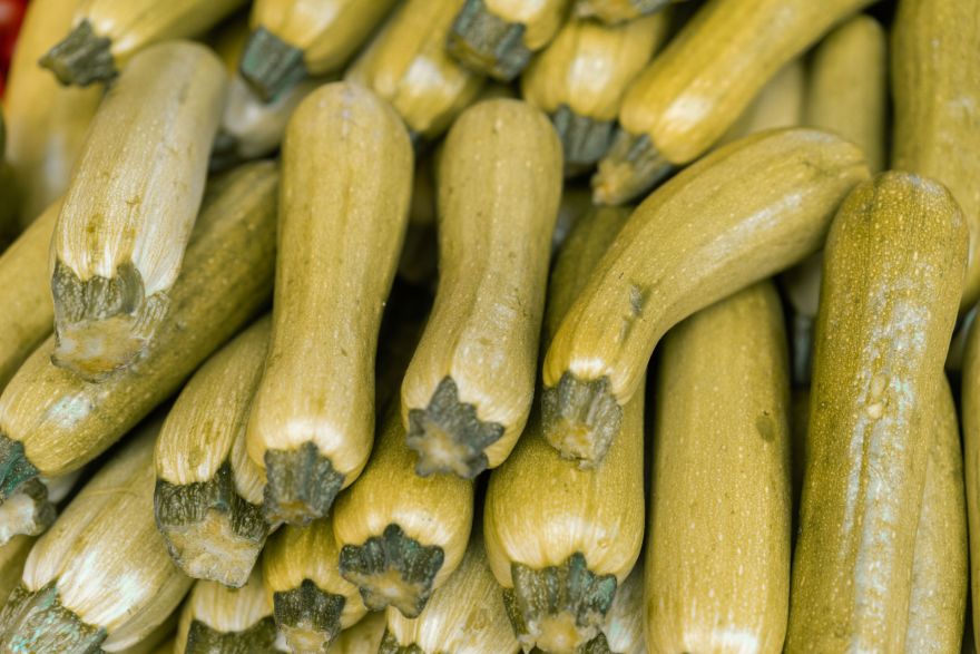 Siguldiete uzskata, ka atkal laiks atgriezties pie barteriem. Vai viņai ir atbalstītāji?