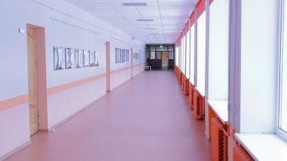 Attēls rakstam: Skolu reforma uz papīra un praksē. Vangažu vidusskolas stāsts