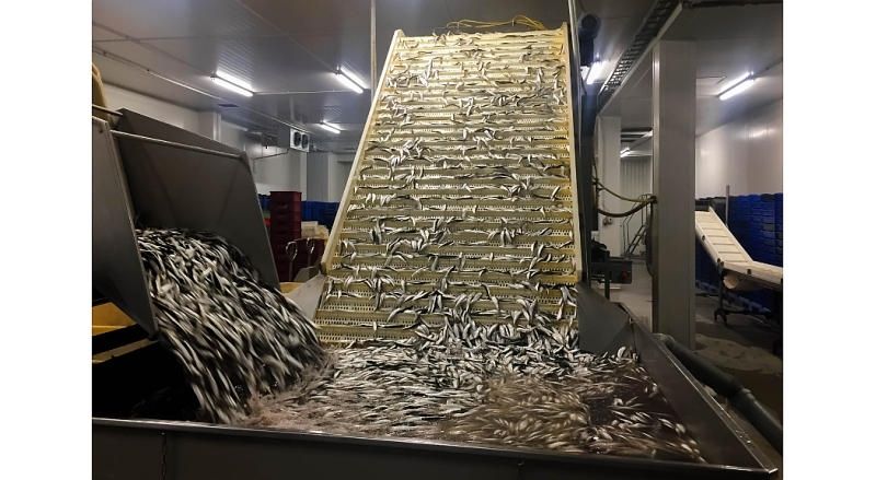 Skultes zivsaimniecības uzņēmums "Varita" attīstībā investējis 3,6 miljonus eiro