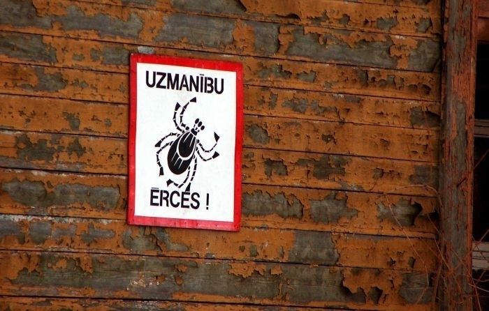 Slimnīcā nonācis šogad otrais ērču encefalīta pacients