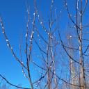 Attēls rakstam: Šodien gaidāms patīkams siltums: termometra stabiņš kāps līdz +14