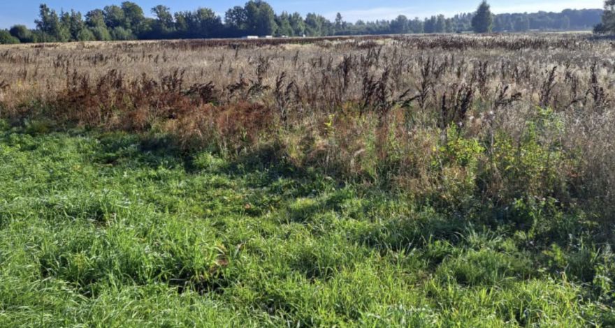 Šodien pēdējā diena zemes nopļaušanai Ādažu novadā, citādi nāksies maksāt bargu sodu