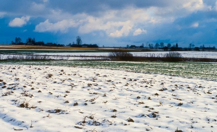 Šoziem Latvijā, visticamāk, būs mainīgi laikapstākļi