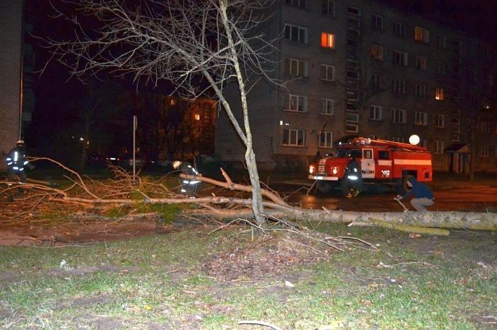 Spēcīgais vējš būtiskus postījumus Pierīgā nav nodarījis