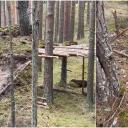 Attēls rakstam: Štābiņus būvēt ir forši, bet... Pieaugušie pikti par bērnu aktivitātēm Carnikavas mežā