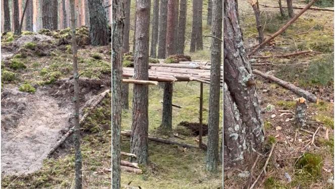 Attēls rakstam: Štābiņus būvēt ir forši, bet... Pieaugušie pikti par bērnu aktivitātēm Carnikavas mežā