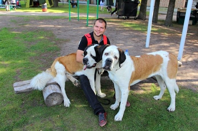 Starptautiskā suņu izstādē Ādažos būs apskatāmi vairāk nekā 200 dažādu šķirņu suņu