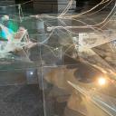 Attēls rakstam: Stiklā iemirdzas Piena Ceļš – Jūrmalā skatāma jauna mākslas izstāde