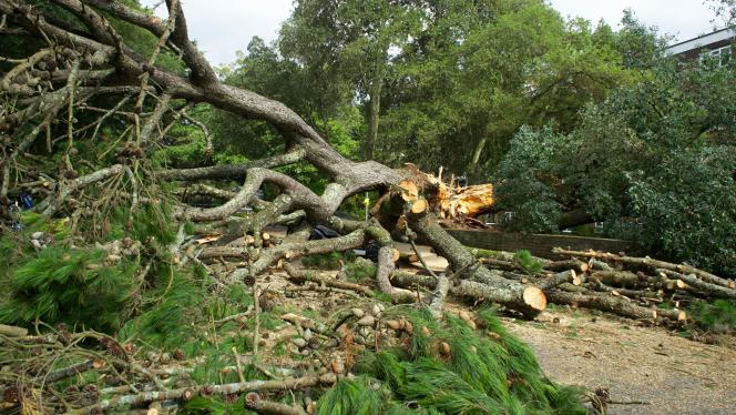 Attēls rakstam: Svētdien Latvijā gaidāma spēcīgākā vētra kopš 2024. gada