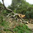 Attēls rakstam: Svētdien Latvijā gaidāma spēcīgākā vētra kopš 2024. gada