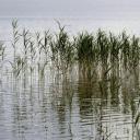 Attēls rakstam: Svētku statistika ir biedējoša - mediķi atklāj skaudru ainu par pārdrošajiem peldētājiem